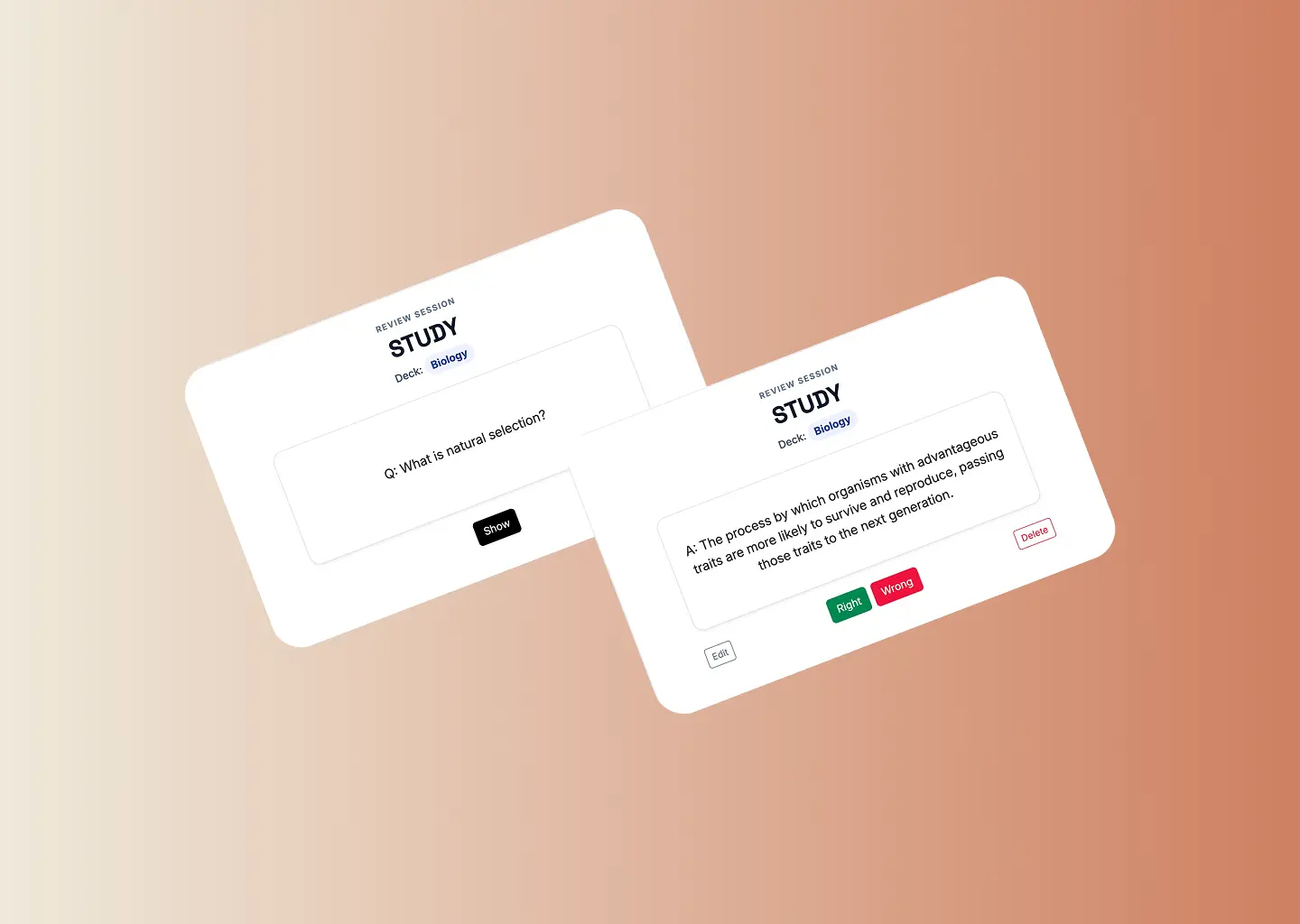 NERDECKS — project image 2